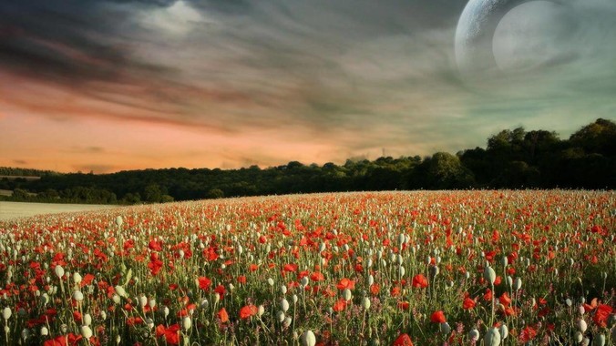 怎么评价国内AI企业人肉背15块80TB硬盘，飞去马来西亚用英伟达训练数据，以规避美国禁令?